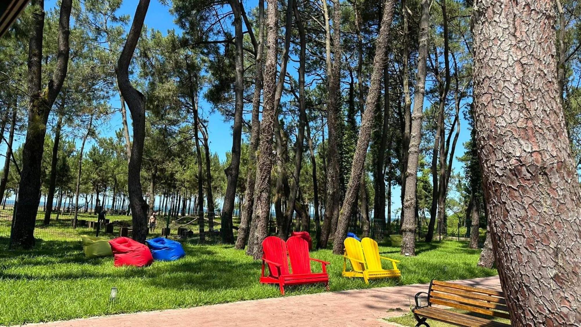 Iveria Elli Hotel Sjekhvetili Eksteriør bilde